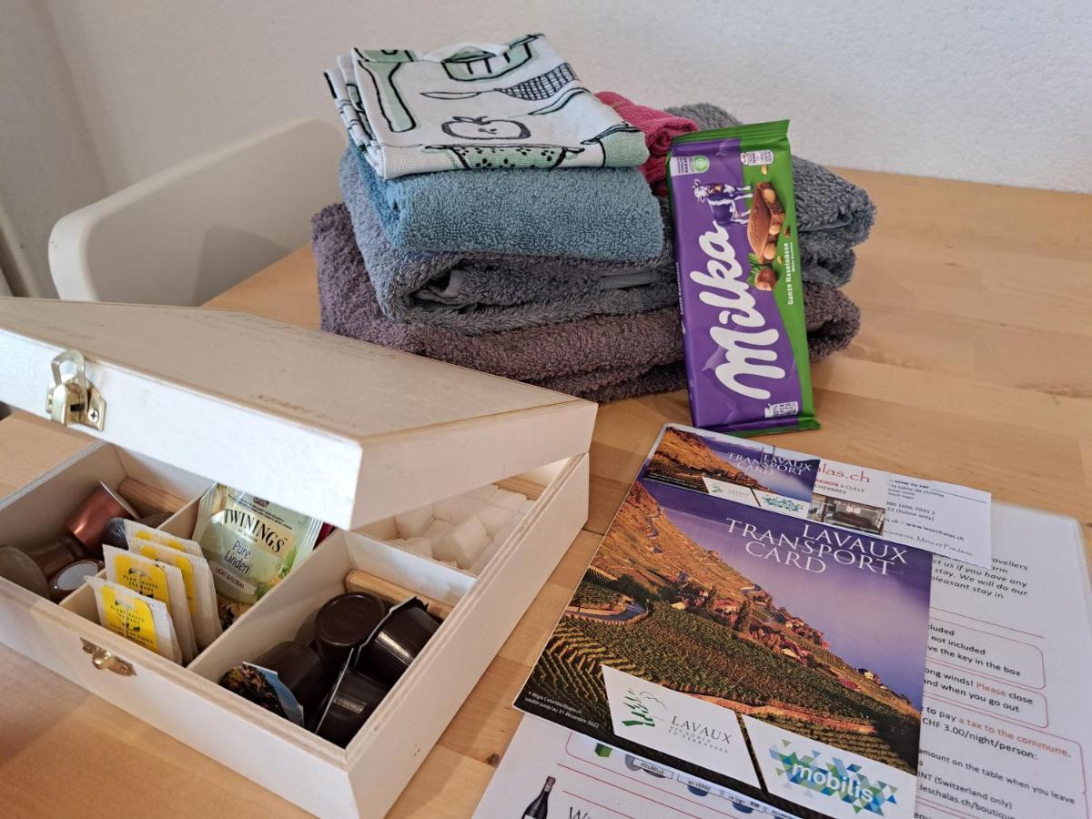"Les Echalas" Appartement Independant Avec Cuisine En Lavaux Unesco เชเบรอส์ ภายนอก รูปภาพ